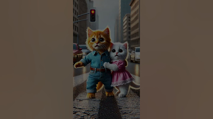 Cat Story: From Hate to LOVE 😻 #kitten #cat #cute #aicat