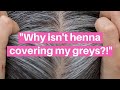 Can Henna Cover Grey Hair? The Question EVERYONE Wants To Know! #AskHennaSooq