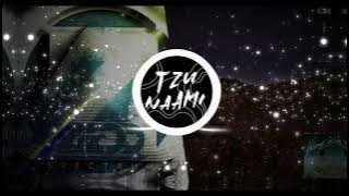 RL Grime x Said the Sky x Zedd x SLANDER - Atoms x Spectrum x Potions [TZUNAAMI MASHUP]