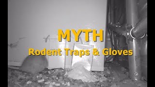 MYTH - Rodent Traps &amp; Gloves