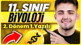 11.Sınıf Biyoloji 2.Dönem 1.Yazılı Çözümü Bunlar Sınavda Çıkar