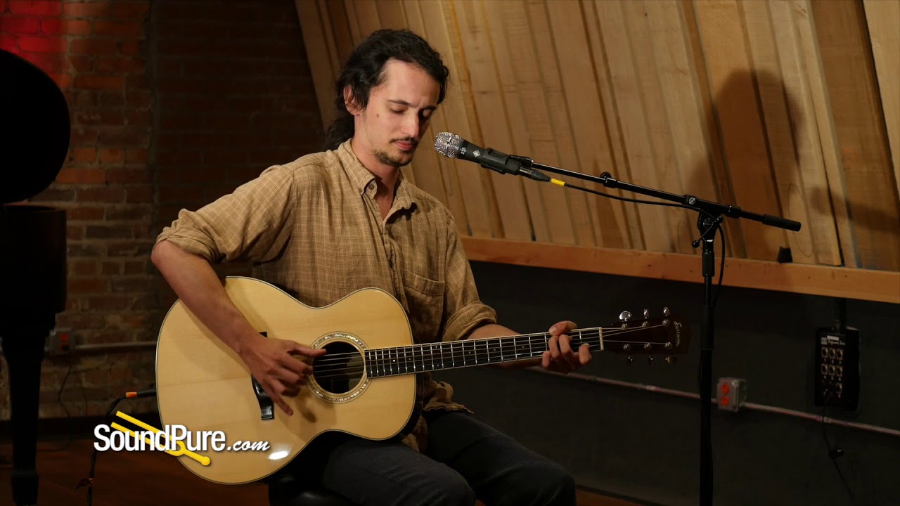 LR  Baggs Element Pickup + LR Baggs Synapse PA System Quick 'n' Dirty