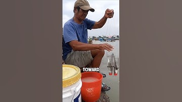 Why is fishing with a bottle so effective at catching fish? #shorts