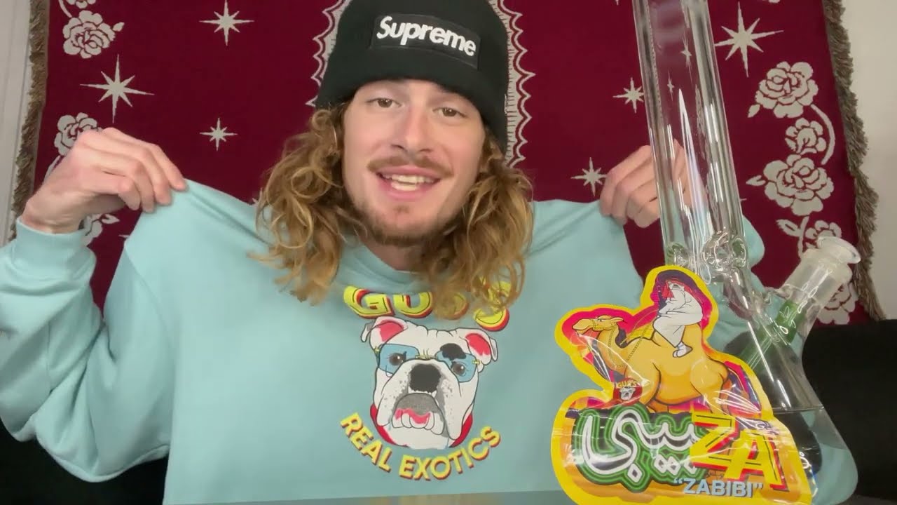 Zabibi Strain Review! (by Gus's Real Exotics)