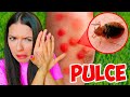 SOFÌ TOGLIE LE PULCI AL NOSTRO CUCCIOLO!!
