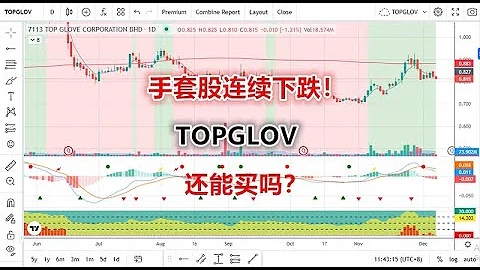 07 12 2023 第396期 ：手套股连续下跌！TOPGLOV 还能买吗？ - 天天要闻