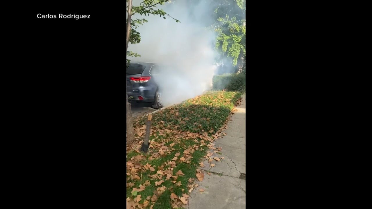 Chicago streets tense as immigration crackdown disrupts parade