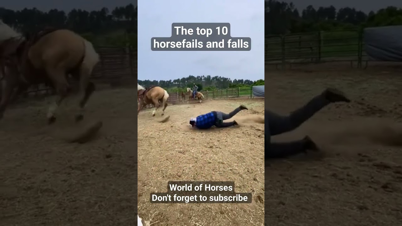 The best clips on a row! horse fails and falls, check our youtube channel..