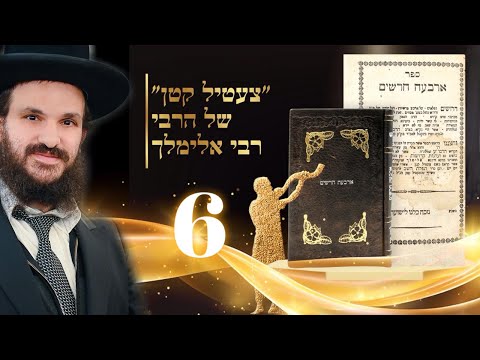 תורת החסידות שיעור 6