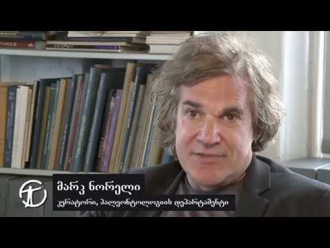 საიდან ვიცი, რომელი დინოზავრები ენათესავებოდნენ ერთმანეთს ყველაზე მეტად?