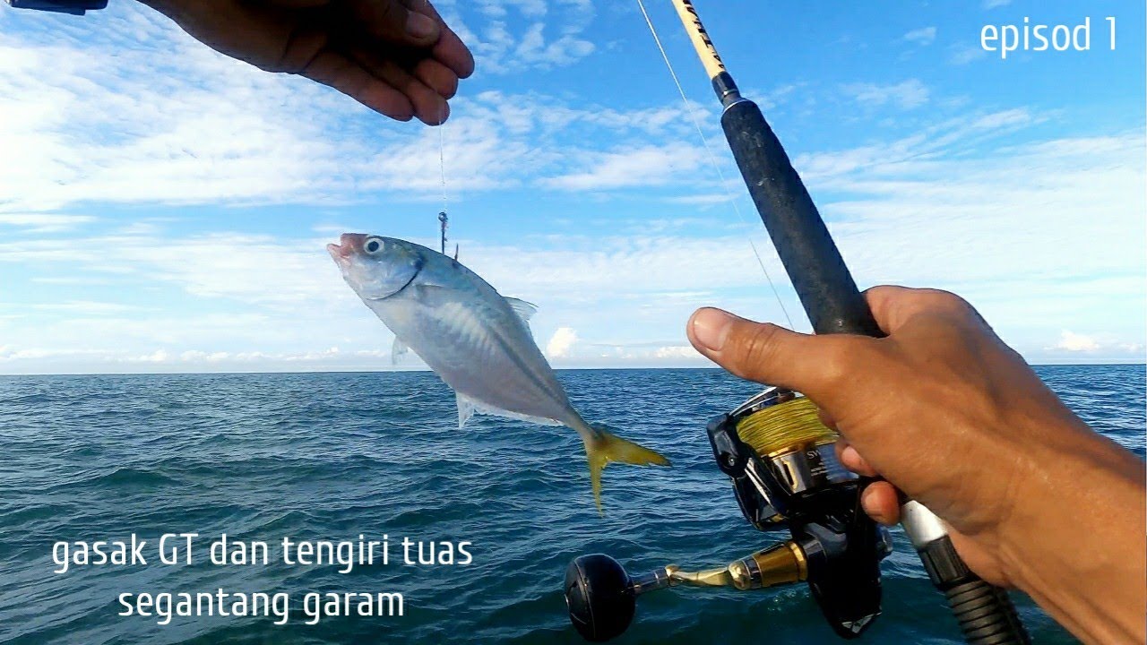 gasak GT dan tengiri tua tuas segantang garam teknik arus Lentang umpan hidup