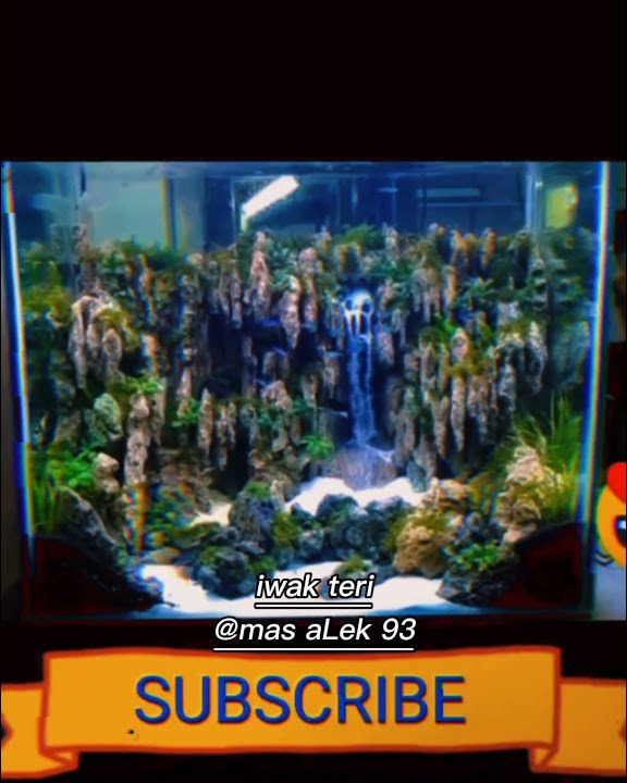 Story wa 30 detik// aQuascape