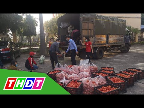 Video Lo dân bị ép giá, Hải Dương công bố giá nông sản 