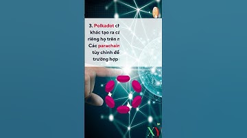 6. Điều cần biết về dự án Polkadot