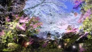 Л Бетховен 'Лунная соната' Ludwig Van Beethoven Moonlight Sonata Л Бетховен 'Лунная соната' Ludwig Van Beethoven Moonlight Sonata