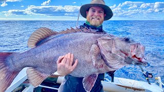 Huge deep water grouper! (catch, clean, cook)