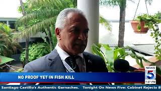 No Proof Yet In Fish Kill