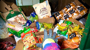 Dumpster Diving Aldi #80 Free Grocery Shopping!