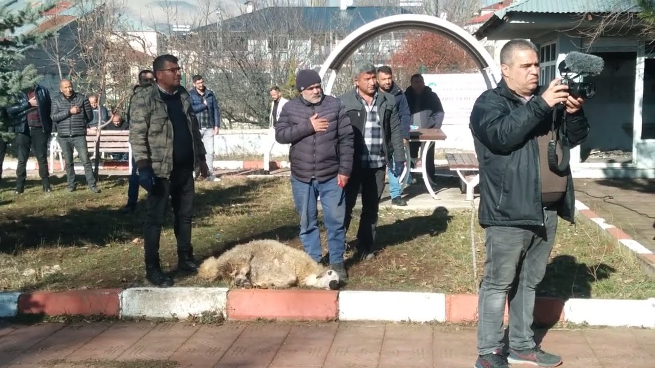 Haberciden; Sarız ve Dallıkavak Cemevi Temel Atma Töreninde Dedelerin Duası. Kayseri
