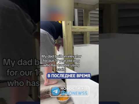 Хозяин сделал лифт