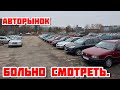 Цены на авторынке в ноябре 2025 года: что нужно знать 🚗