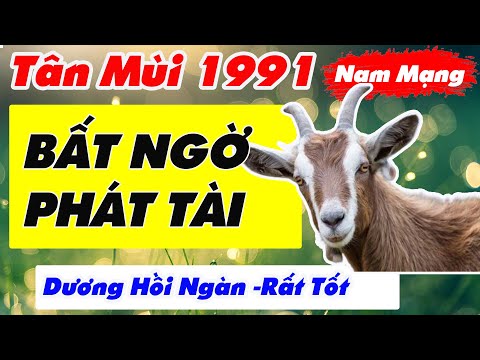 🎯 (Hay Nhất) Tử Vi 2021) Nam Mạng Tân Mùi 1991 Tài Lộc Hanh Thông, Gia Đạo Yên Vui Nếu Biết Điều Này