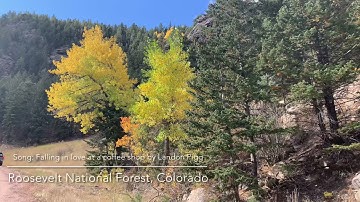 Fall Colors Boulder Canyon Colorado
