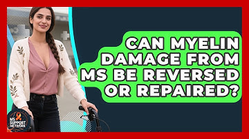 Can Myelin Damage From MS Be Reversed or Repaired? | MS Support Network