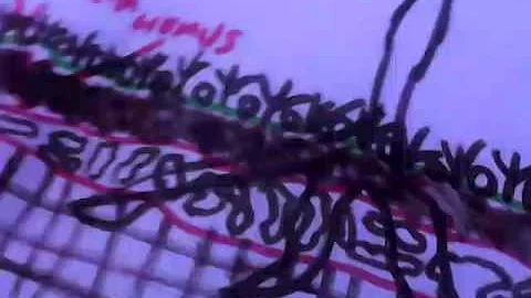 Come vengono chiamati gli strati del suolo?
