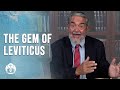 What is a Jubilee Year? Dr. Scott Hahn Explains