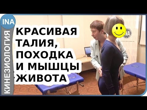 Красивая талия, походка и мышцы живота. Проф. Васильева. Кинезиология