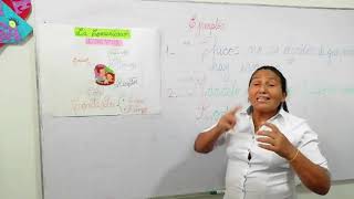 CLASE 1 COMUNICACIÓN INTEGRAL 3° Y 4° PRIMARIA : LA COMUNICACIÓN CLASE 1 COMUNICACIÓN INTEGRAL 3° Y 4° PRIMARIA : LA COMUNICACIÓN