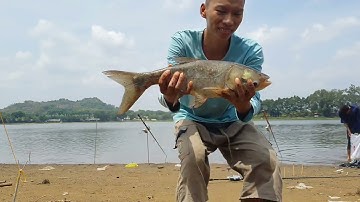 2.Ra Hồ Núi Le Test Mồi Hoàng Minh Fishing Và kết Quả Bất Ngờ | Mồi Câu MF