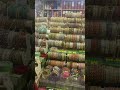 Ban gales collection #viralvideo #shopping #shortvideos #dmartoffer #dmart #trending #youtubeshorts