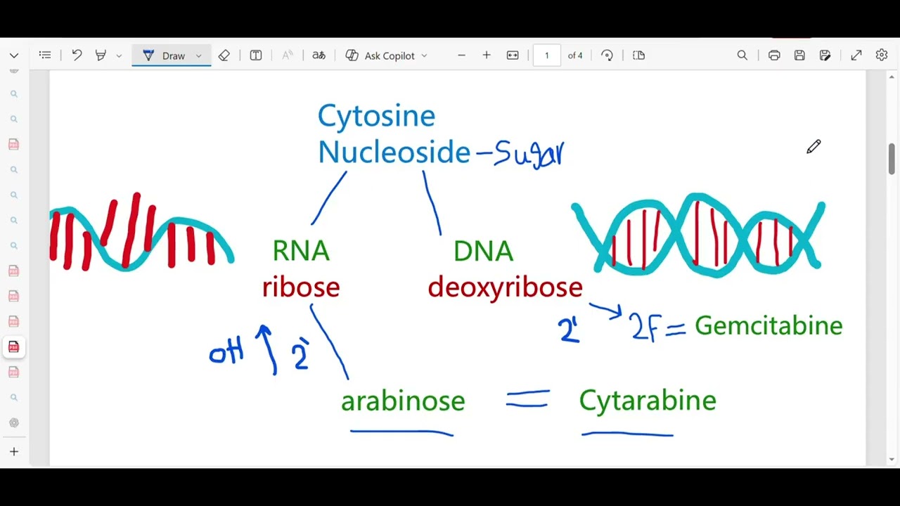 شرح الى سلايد 45