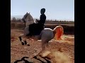 اقا سلطان سلطان اسب زیبا کرد نمایش اسبسفید اقا سلطان سلطان اسب زیبا کرد نمایش اسبسفید