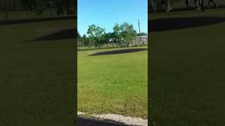 Attack Of The Wild Donald-Saur So Funny Real World Videos