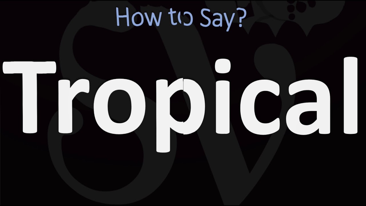 Tropical  英語 3th How to Pronounce Tropical? (CORRECTLY) - YouTube