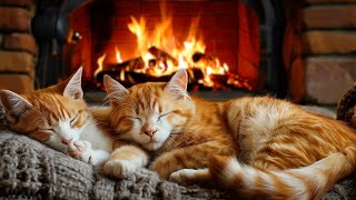 12 Hours Of Cat Purr and Fireplace Sounds | Sleep Instantly and Healing with Purring Cat