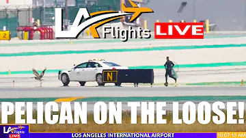 🔴LIVE LAX Airport | LAX LIVE | LAX Plane Spotting