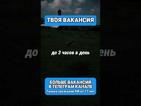 Свежая вакансия, на