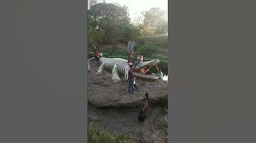Biggest crocodile #shorts #viral #youtubeshorts #big #crocodile #animals #love