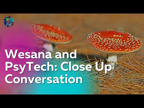 Wesana and PsyTech