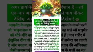 Sugar Se Chhutkara! 🥭 Aam ke Patton ki Chai se Diabetes Control Karein | Mango Leaves Benefits