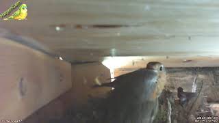 20190627 Zeitraffer Cam 2