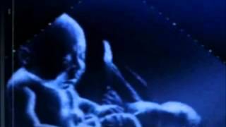 Expecting twins?
Expecting twins? Prepare for hell!!! Expecting twins?