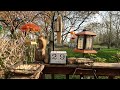 The Crow Knows! 4K Bird &amp; Squirrel Feeder