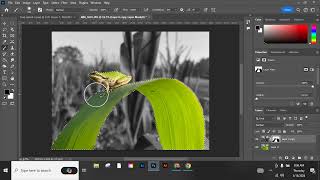 Color Splash in Photoshop screenshot 5