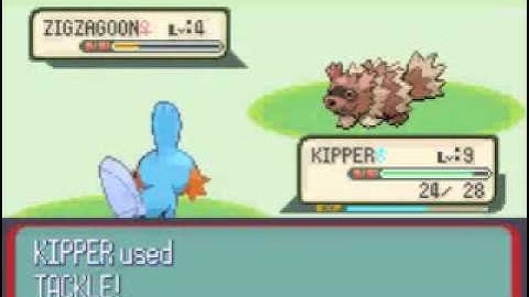 Pokemon Ruby Walkthrough Part 2