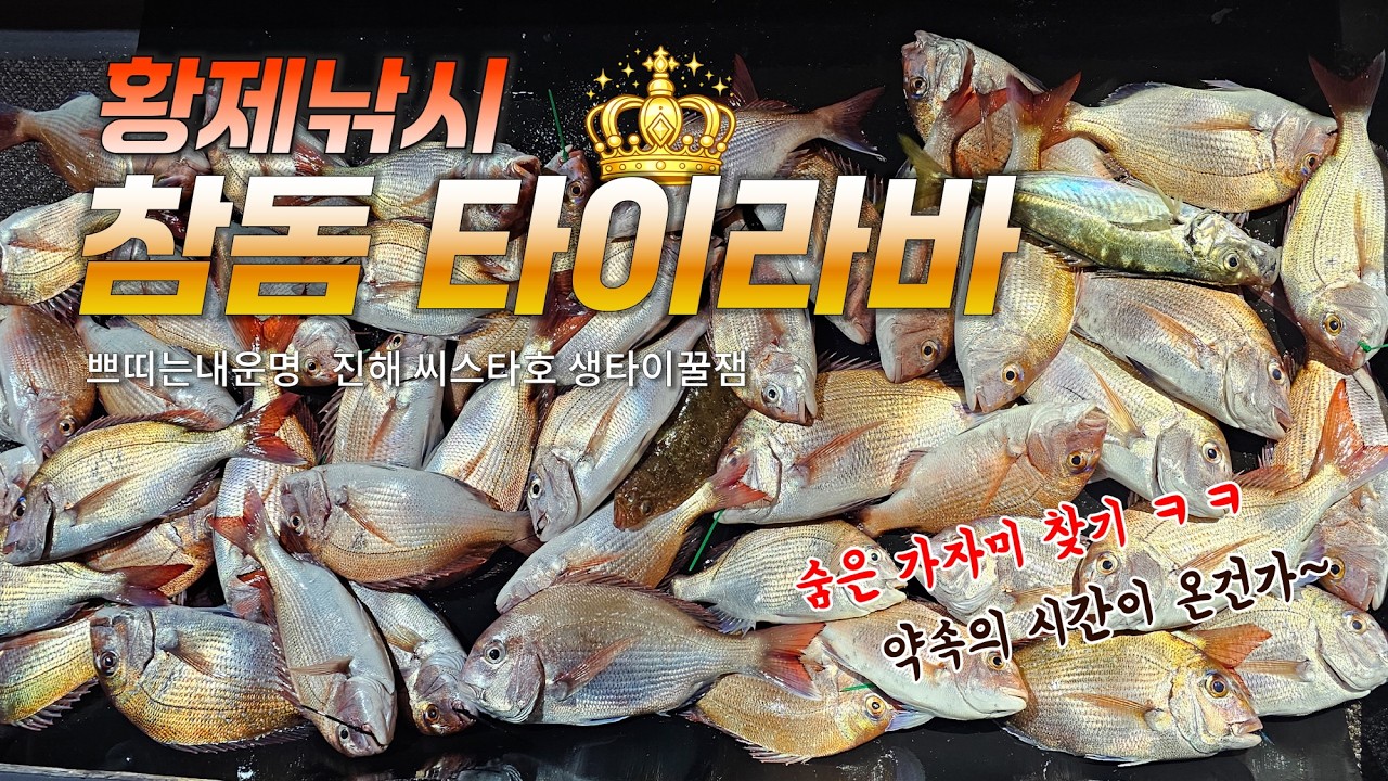 참돔타이라바 진해 씨스타호 | 약속의 시간이 온건가? 홍도